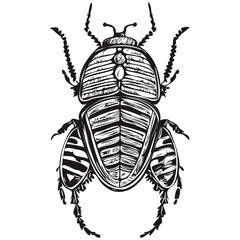 Funny cartoon beetle, line art illustration ink sketch beetles