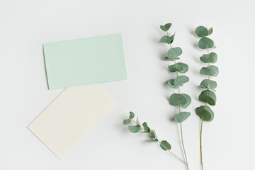 Blank green cards for text on table, Greeting or invitation paper texture empty card with eucalyptus branches. Flat lay in green colored, copy space, minimal life style Natural organic concept