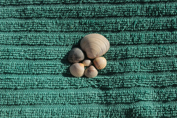 beige seashells on a towel on the beach on a sunny summer day