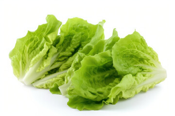 Lettuce, white background isolated, burger dressing, generative ai, Fresh tasty vegetables, Fresh ingredients, cooking ingredients