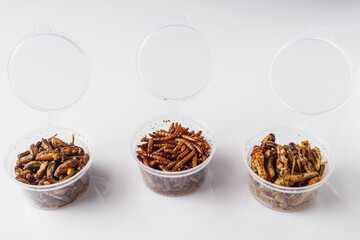 set of edible bugs, silkworms, grasshoppers in transparent boxes on a white background. Asian cuisine