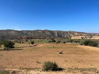 Fototapeta na wymiar Morocco, Africa: panoramic road and canyon in the middle of the argan plain between Essaouira and Taghazout, the tree from which the prodigious oil is obtained only grows in this area