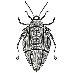 bug logo, black and white illustration hand drawing bugs