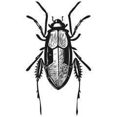 kids hand drawn nursery poster with bug animal bugs
