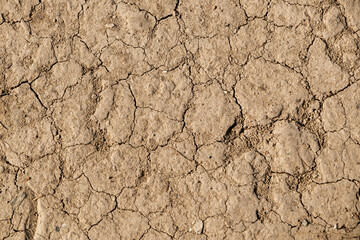 Dry cracked earth. Cracked sandy, clayey land dried out by drought