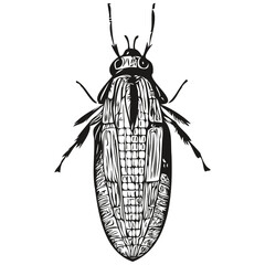 Vector image of silhouette of a bug on a white background, bugs