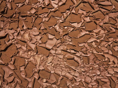 Textured surface of dry cracked peeling mud; Hanksville, Utah, United States of America
