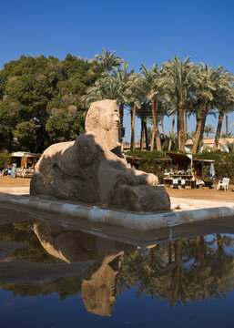 The Alabaster Sphinx; Memphis Egypt