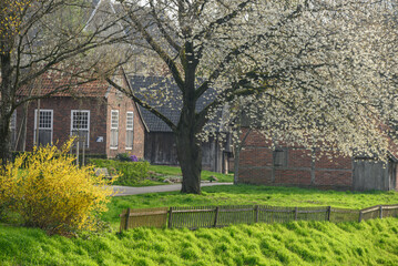 Frühling an der Berkel im Münsterland