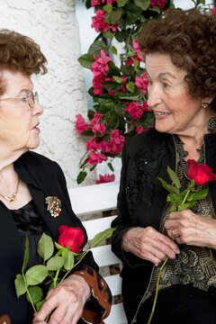 Two Women Talking And Holding Single Red Roses; Edmonton, Alberta, Canada