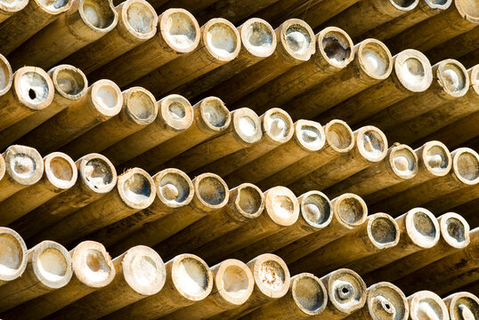 Bamboo sticks in a stack; Chiang Mai, Thailand