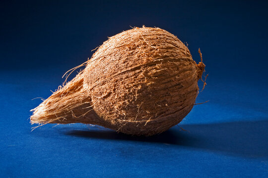 Studio Shot Of A Coconut.