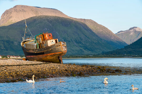 An abandoned shipwreck rests on the shoreline near Corpach and Caledonian Canal, Scotland; Corpach, Scotland