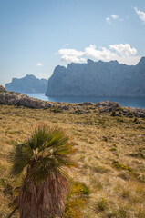 Cala Sant Vicenc à Majorque aux Baléares