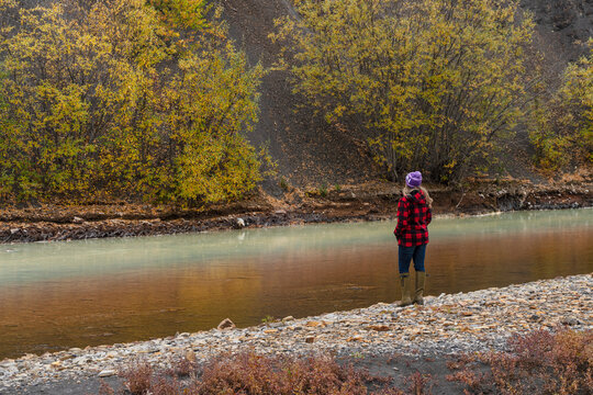 Woman standing along the riverbank of the Rock River in Northern Yukon in autumn; Arctic Circle, Yukon, Canada