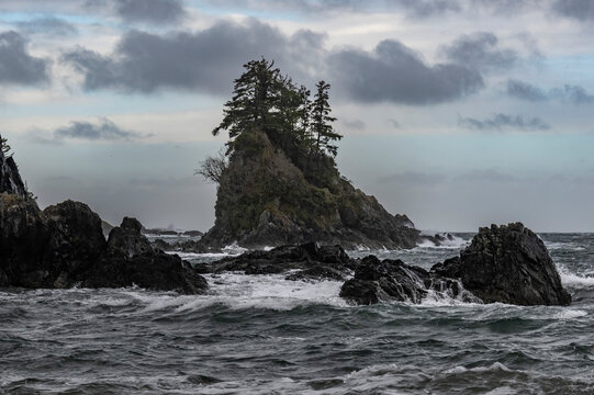 Wild nature scene along the Canadian West coast at Brady's Beach; Bamfield, Vancouver Island, British Columbia, Canada