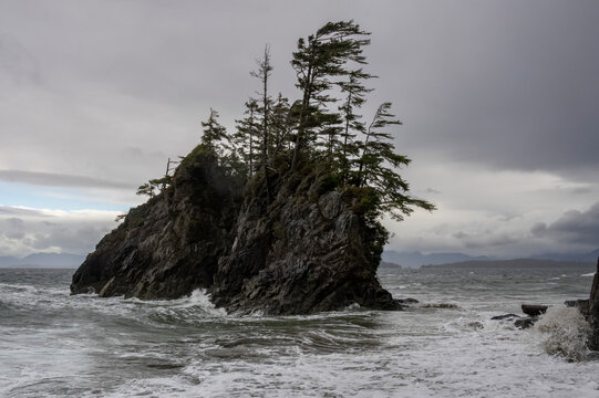 Windblown trees on a rock formation along the Canadian West coast at Brady's Beach; Bamfield, Vancouver Island, British Columbia, Canada