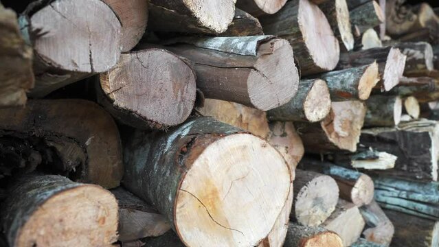Slow motion close up of chopped stacked firewood. Pile of wood logs prepared for grill and winter