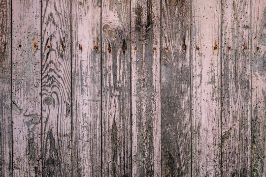 Detail of old rustic wooden planks wall with scraps of pink flacking paint, grunge texture