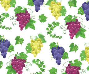 Grape, national wine day, grapes, wine party