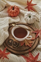 still life pumpkin, tea in the atumn