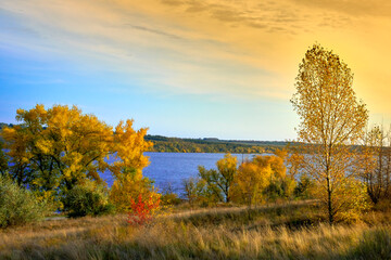 Naklejka na ściany i meble Autumn landscape, blue river and golden tree leaves.