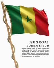 White Backround Flag Of SENEGAL