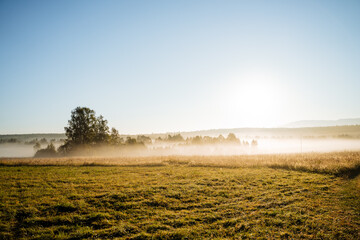 Fog in the forest, a white cloud has fallen to the ground, the countryside in the morning, sunlight illuminates the mowed field, the hay meadow.