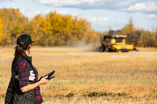 A woman using portable wireless devices to manage and monitor a fall Canola harvest with a combine working in the background; Alcomdale, Alberta, Canada