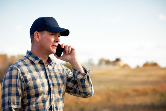 A man talking on a smart phone while monitoring and completing fall canola harvest; Alcomdale, Alberta, Canada