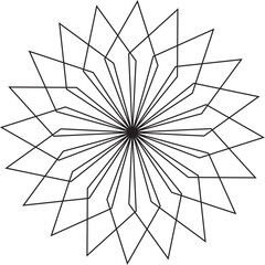 Obraz premium black and white snowflake