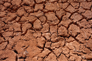 brown mineral background from the sahara roses