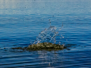 Water splash in rippled water, captured when rock was thrown into the lake.