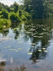 lake, water, nature, river, landscape, sky, tree, reflection, blue, trees, forest, green, pond, summer, spring, clouds, grass, mirror, stream, natural, outdoor, calm, beautiful, scenery, cloud