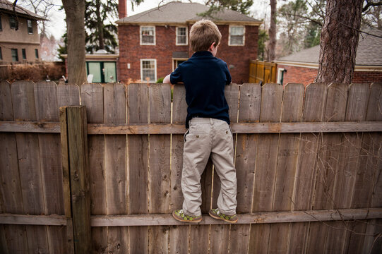 Young boy peeking into a neighbour's backyard; Lincoln, Nebraska, United States of America