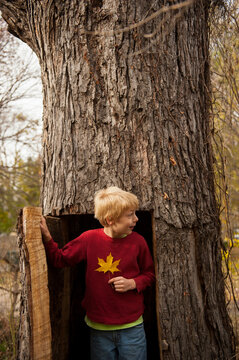 Young boy holding a leaf in front of a tree with a door cut into it; Lincoln, Nebraska, United States of America
