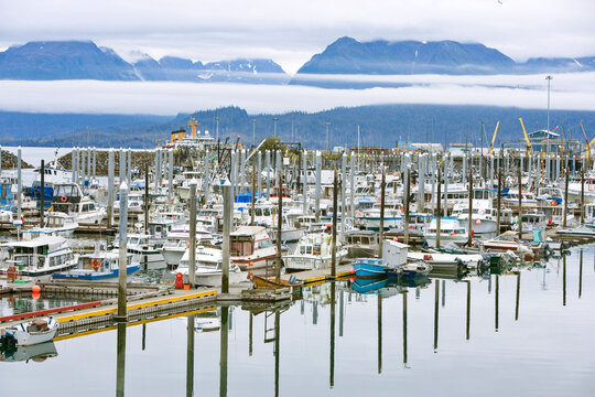 Marina at Homer harbour in the Kenai Peninsula, Alaska, USA; Homer, Alaska, United States of America