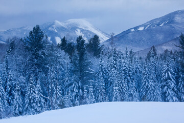 Winter snow in the High Peaks region of Adirondack Park, New York, USA; New York, United States of America