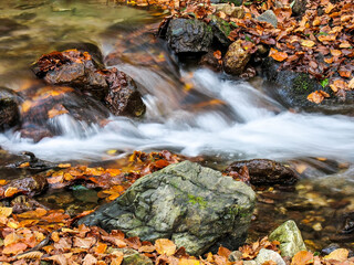 Fototapeta na wymiar Beautiful creek in mountain forest. Forest creek in autumn.
