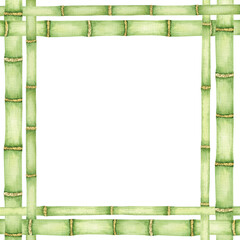 Bamboo stems and leaves . Frame of bambook. Greenery bamboo. Watercolor illustration, hand-drawn. Isolated on white background.