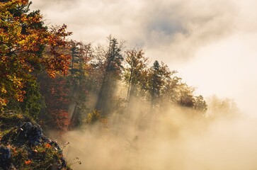 Fabulous colorful autumn landscape. Magical morning in Polish mountains. Photo taken on top of Sokolica in Pieniny, Poland.
