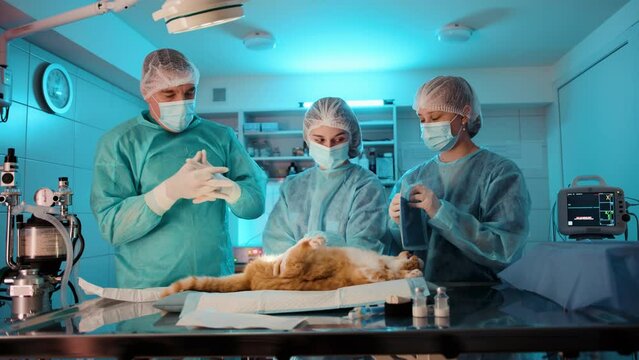 The doctor is putting on the surgical gloves before begining the operation. The nurses assist the doctor in preperation. High quality 4k footage