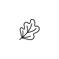 tropical plant leaf hand drawn icon