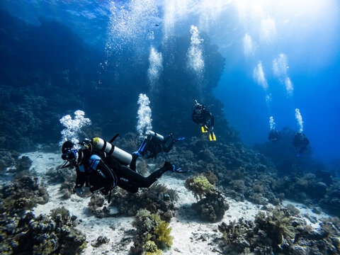 Scuba Diving group is diving on a Coral Reef
