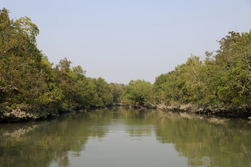 Fototapeta na wymiar A canal in Sundarbans.Sundarbans is the biggest natural mangrove forest in the world, located between Bangladesh and India.this photo was taken from Bangladesh.