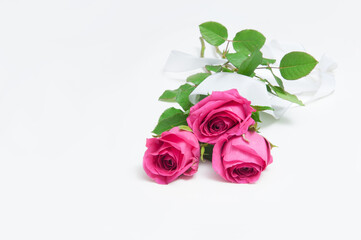 Abstract background with pink flowers roses on a white background