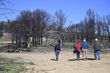 Incendio sierra de la culebra 