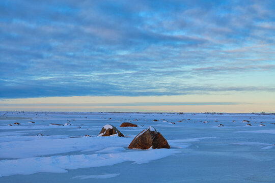 Glacial erratics frozen in the ice on the tidal flats of Hudson Bay; Churchill, Manitoba, Canada