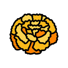 marigold blossom spring color icon vector illustration