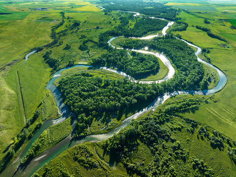 Aerial view of a winding river reflecting sunlight with lush green fields and trees, Southeast of Calgary; Alberta, Canada